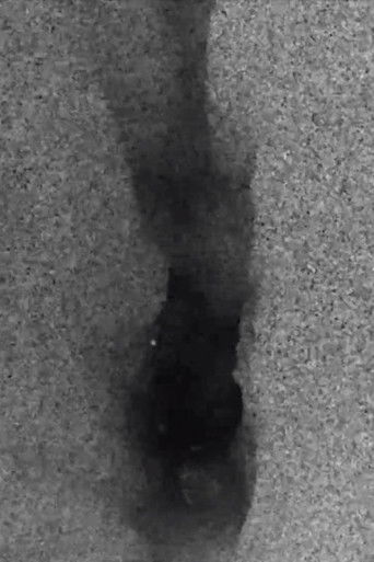 Revealing the Essence in a Portrait poster