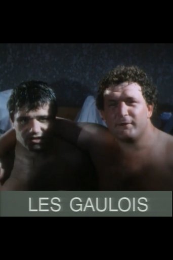 Poster of Les Gaulois