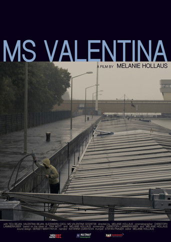 MS Valentina poster