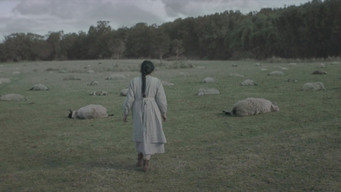 Galeria 3 - Brujería