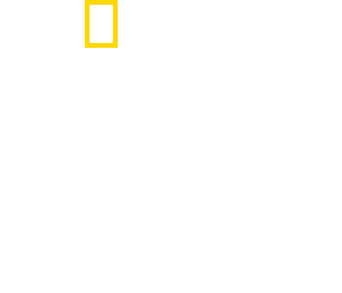 Dr. T, Lone Star Vet logo