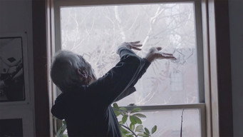 The Silent Eye (2016)