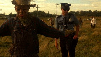 #7 Strange Behavior