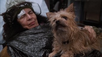 Cena de Um Turno Na Noite