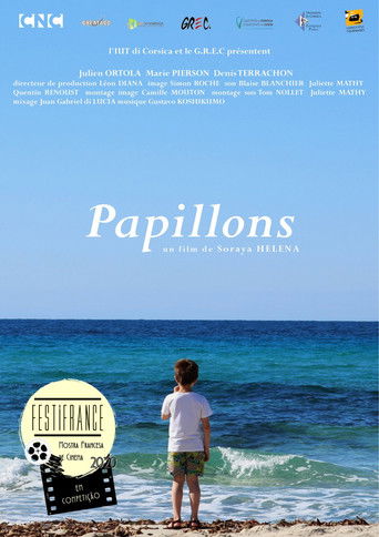 Papillons poster
