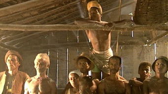 Episodio 77 — Episodio 77