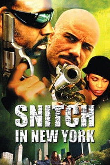 Snitch in New York (2002)