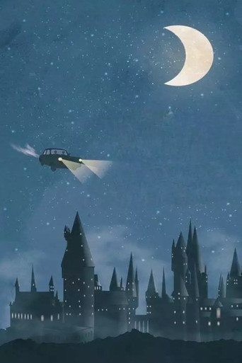 Harry Potter — Posters 21