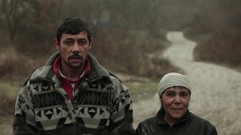 Loli Kali Shuba (2013)