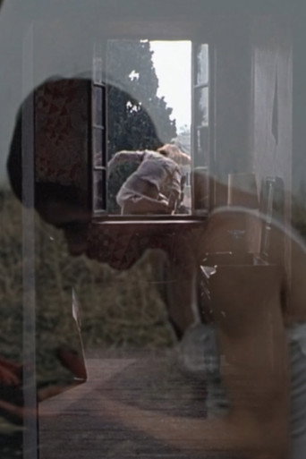 Diary 1: (films from my)SOLID#STATE(drive): November 2024 (2024)
