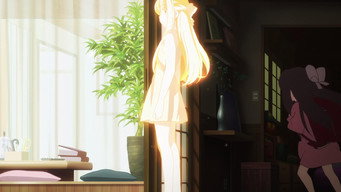 Shelter media image