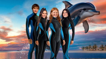 #4 Dolphin Summer
