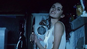 The Washing Machine (1993)