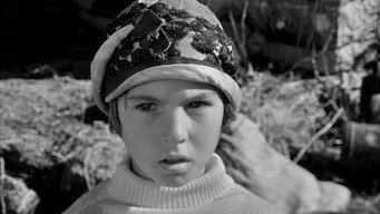 #35 Паперовий місяць