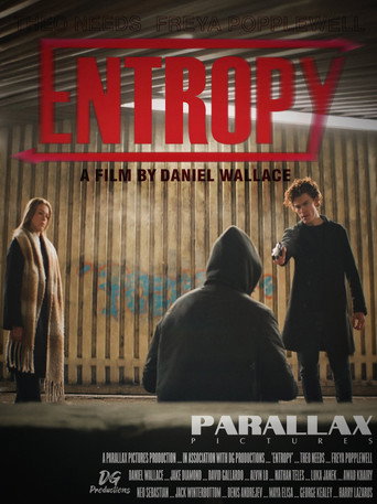Entropy — Pôsteres 2