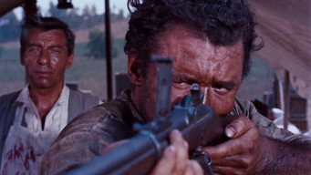 Run of the Arrow (1957)