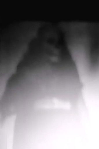 Pain Flow Blood Flow