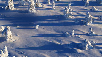 Escena 4 de Wild Lapland