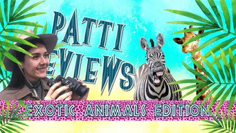 Patti Reviews Exotic Animals: African Barbary Falcon