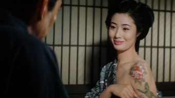 日本侠客伝　花と龍