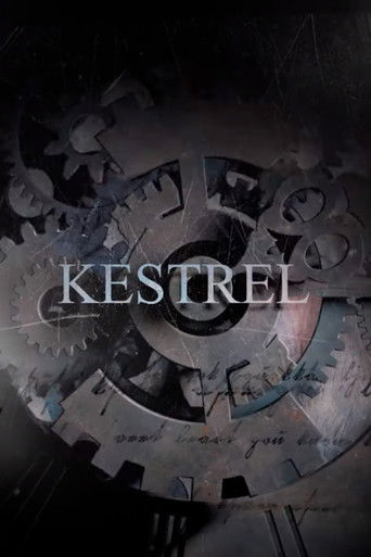 Kestrel poster