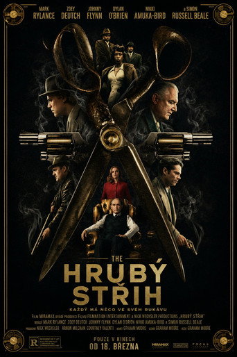 Hrubý střih