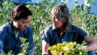 Love Child (1982)