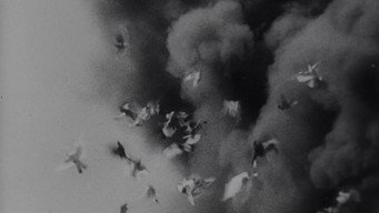 #5 Bezhin Meadow: Sequences from an Unfinished Film