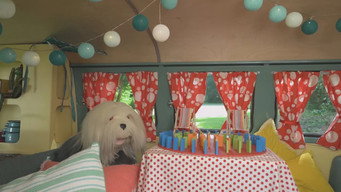 Episode 33 — Episode 33