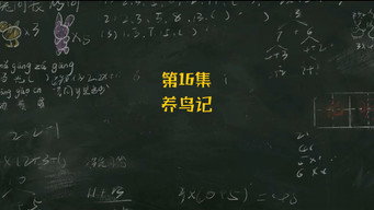 Episode 16