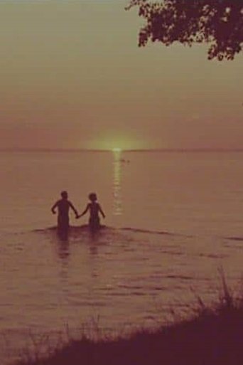 Vikingabygd i jetåldern – en film om Östergötland