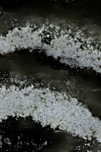 co.loss..deus: (2026)