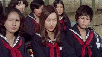 Hazardous Graduation (1970)