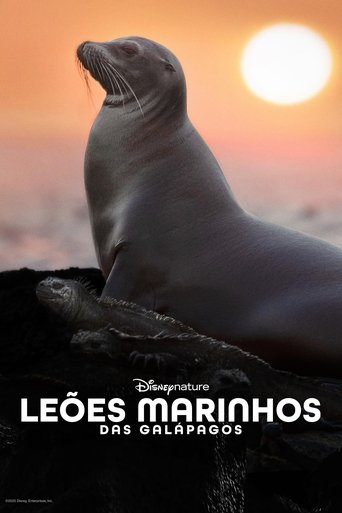 Leões-marinhos das Galápagos
