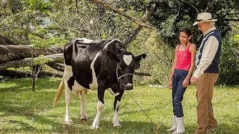 Lady, La Vendedora De Rosas S01E10