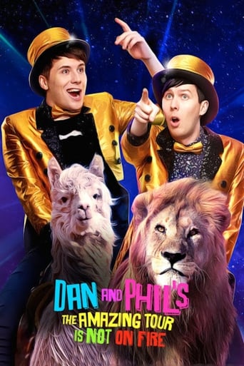 Poster of Dan and Phil's The Amazing Tour is Not on Fire