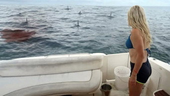 Great White Waters (2025)