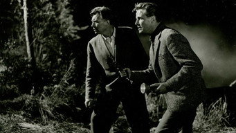 Der Schatz vom Toplitzsee (1959)