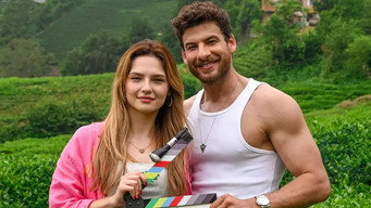 Melody of Love (2023)