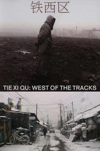 Tie Xi Qu: West of the Tracks (2004)
