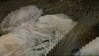 Cena de Depois da Tempestade, o Inferno