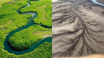 Who Killed the Colorado River?