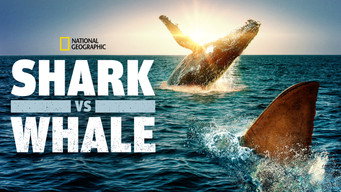 #5 Shark vs. Whale