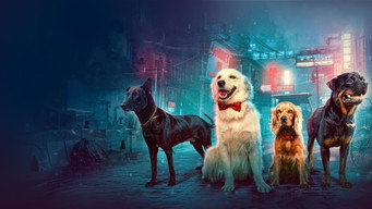 Valatty: Jornada de Amor e Amizade