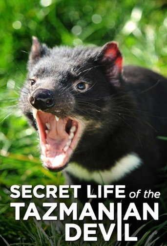 Secret Life Of The Tasmanian Devil: Season 1