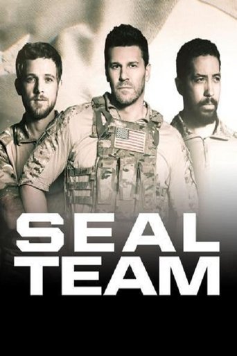 Download Legenda de SEAL Team S02E01