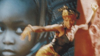 Warrior Marks (1994)