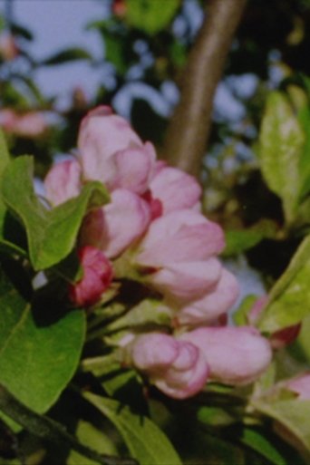 Autumn Rush for Kurt Kren and Winter and Spring and Summer (2003)