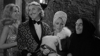 Young Frankenstein backdrop 6