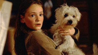 Mein Bruder ist ein Hund (2004)